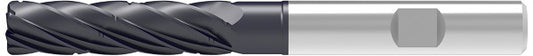 Ceratizit 3A0003-12000.0610.R05.R00200.HB.B550 CoreLine End Mills With Corner Radius CCR-UNI 5359312402 (0721871)